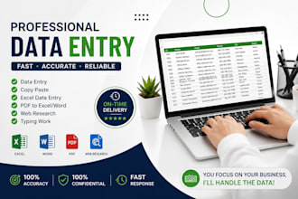 do accurate data entry excel PDF conversion and data cleaning