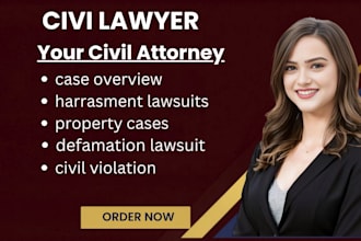 prepare case summaries and legal responses