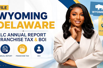 file wyoming delaware llc annual report, franchise tax and boi