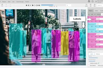 do polygon segmentation, image annotation, and data labeling