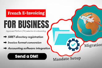 do french e invoicing mandate setup and migration for business