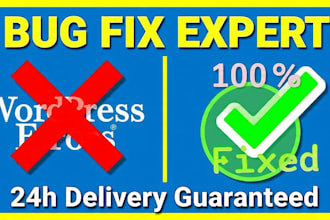 do wordpress customization bug fixes speed optimization