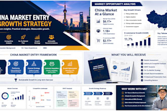 provide china market entry strategy and business consulting