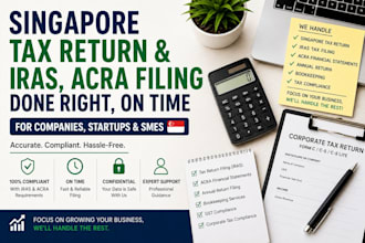 prepare singapore company financial statements and acra filing