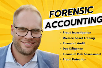 provide forensic accounting, asset tracing, fraud investigation, litigation