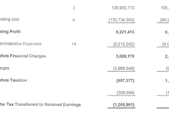 preparation of financial statements