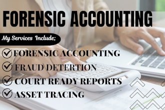prepare CPA forensic accounting, fraud investigation and asset tracing