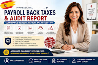 handle payroll back taxes and audit report for compliance review