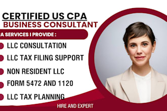 provide CPA consultation, llc tax filing, tax planning for foreign owned llc