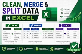 deliver top quality clean, format, marge, split excel data
