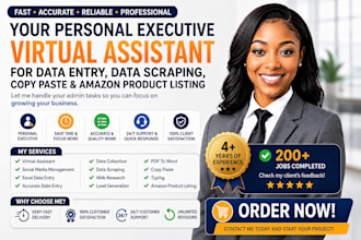 executive virtual assistant for data entry copy paste amazon product listing