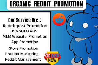 do usa solo ads and promote mlm website via reddit marketing