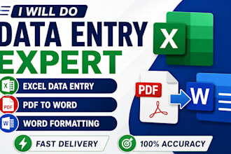 do excel data entry, PDF to word and ms word formatting