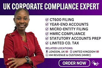 prepare your UK limited company accounts and ct600 filing