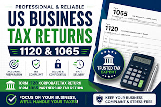 prepare and efile US business tax returns 1120 and 1065
