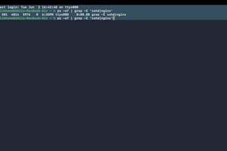 build a custom python web automation bot and selenium script