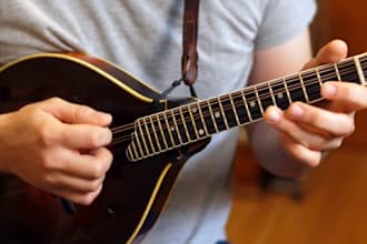 record professional violin, viola, guitar, fiddle, mandolin and banjo tracks