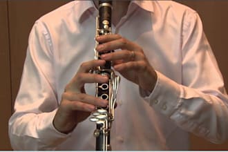 record professional flute, piccolo, saxophone, clarinet, oboe and duduk tracks