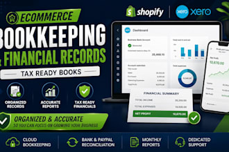 organize ecommerce financial records and deliver clean tax ready books