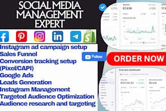 run facebook and instagram ads campaign for lead generation and sales conversion