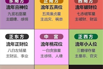 provide  feng shui consultation for home office  shop