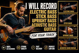 record live electric bass, stick bass, upright bass and acoustic bass guitar