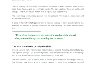 write professional SEO blogs, articles and newsletters