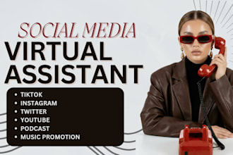 be your social media VA for tiktok instagram youtube twitter podcast and more