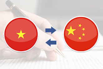 translate chinese to vietnamese professionally