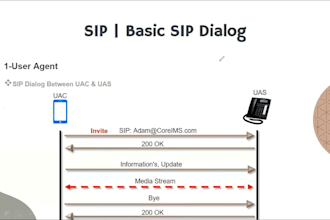 setup auto dailer sip trunk and sip trunk provider for outbound and inbound call