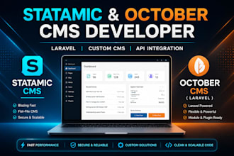 develop statamic october cms custom cms website expert