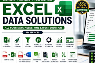 do data entry and excel tasks