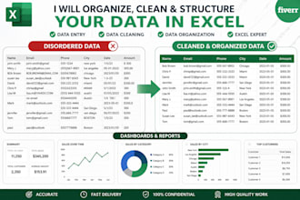 clean, organize, and format your data