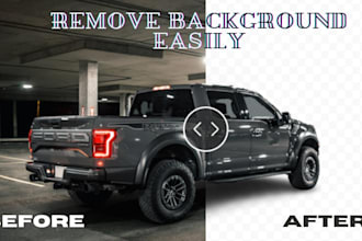 remove image background professionally and fast