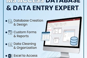 do ms access database creation and professional data entry