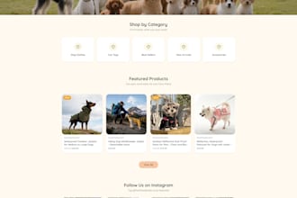 shopify theme customization and development