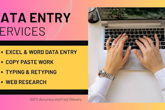 do professional data entry and fast typing work