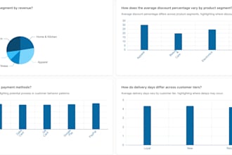 build professional data dashboards and reports