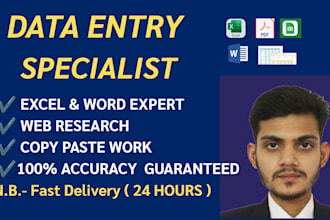 do professional data entry work