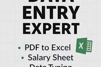 do accurate excel data entry, PDF to excel, database in 24hr