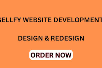 do auto sellfy website design and redesign sellfy website development