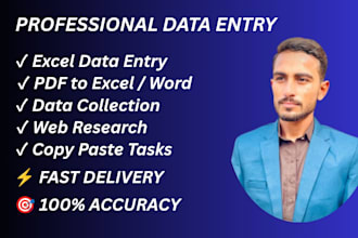 do data entry, data scraping, mining, copy paste or email list