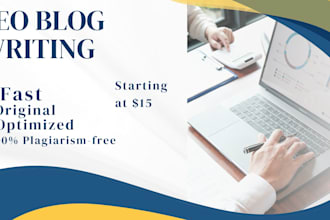 write SEO blog posts and articles for your website