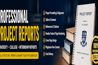 create professional university project reports and documentation