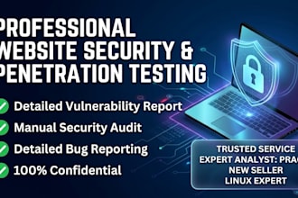 be your website security auditor and penetration tester