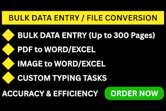 do bulk data entry, pdf to excel, pdf to word