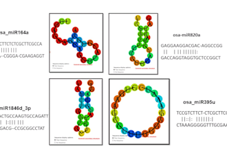 do r programming  visuals for you