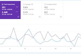 seo expert and web developer for website growth