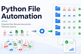 automate your file organization with a python script