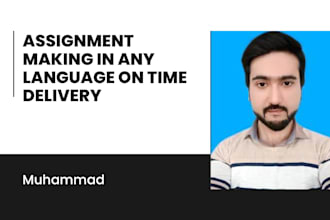 do an assignment in any language on time
